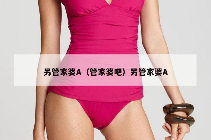另管家婆A(管家婆吧)另管家婆A